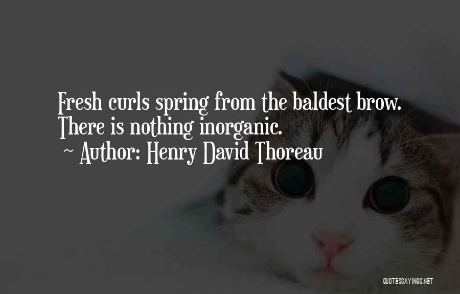 Spring Thoreau Quotes By Henry David Thoreau