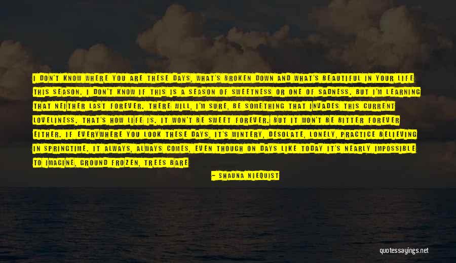 Spring When Does It End Quotes By Shauna Niequist Spring When Does It End Quotes By Shauna Niequist