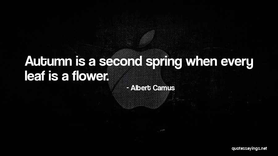 Spring When Quotes By Albert Camus