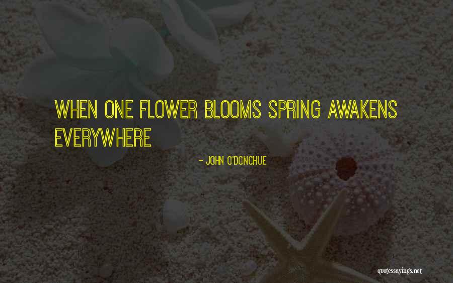Spring When Quotes By John O'Donohue