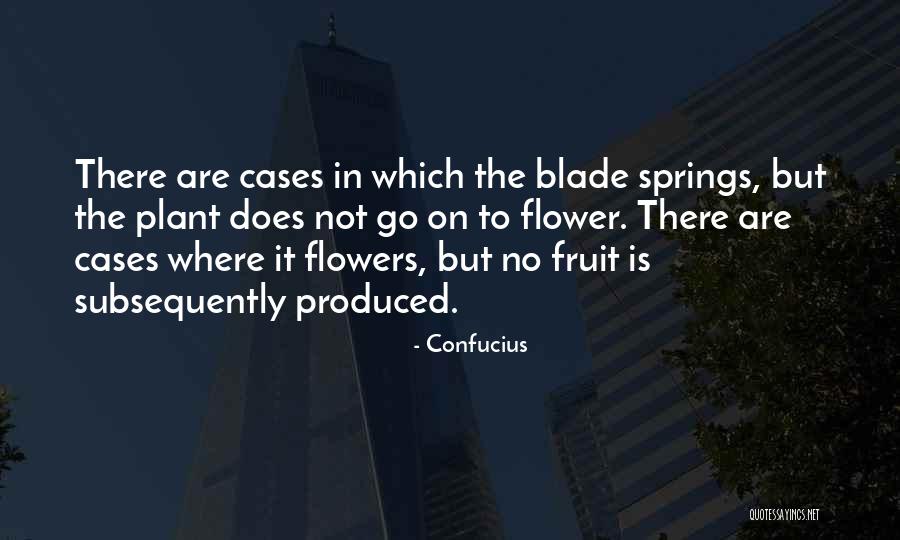 Spring When To Plant Quotes By Confucius Spring When To Plant Quotes By Confucius