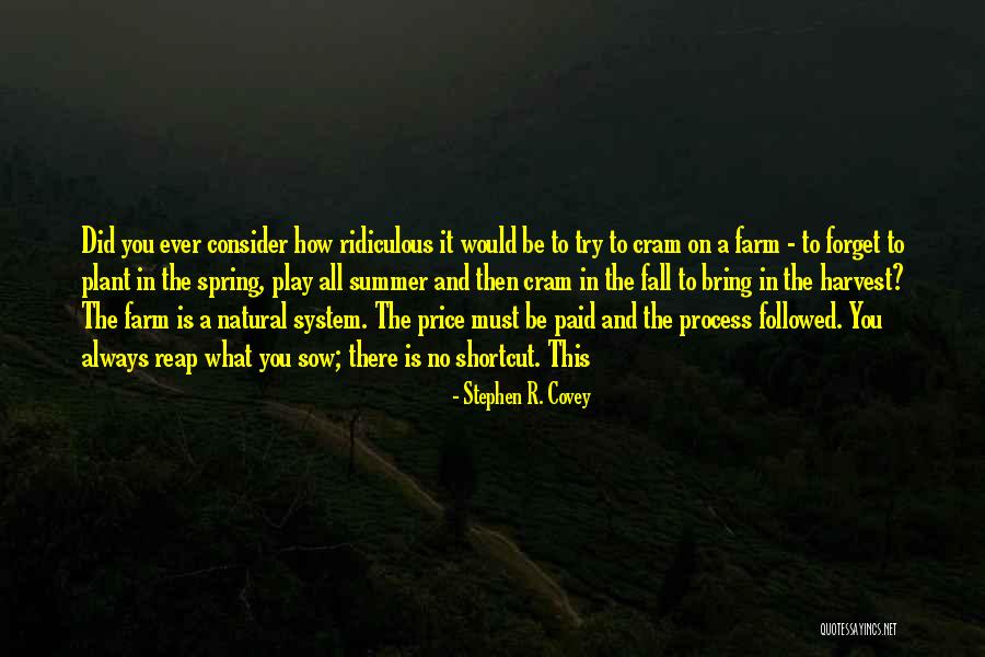 Spring When To Plant Quotes By Stephen R. Covey Spring When To Plant Quotes By Stephen R. Covey