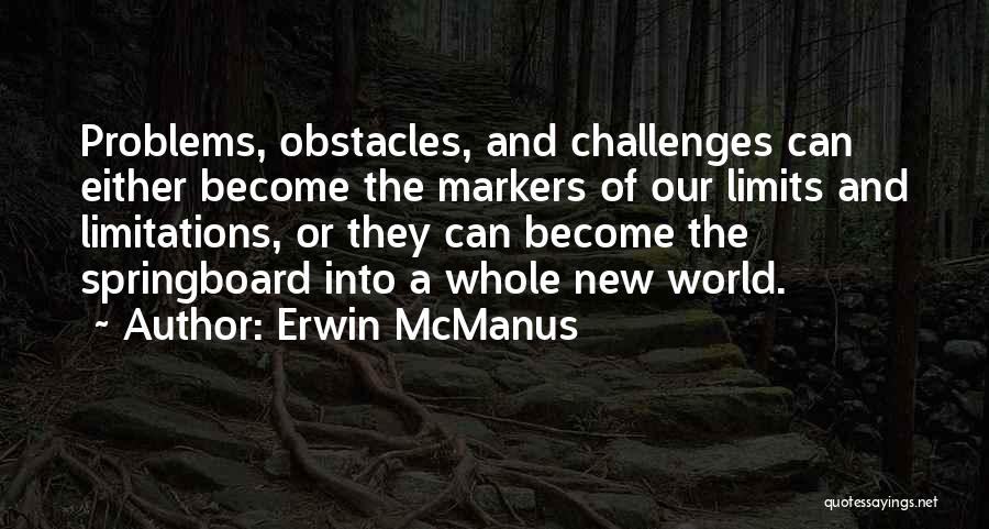 Springboard Quotes By Erwin McManus