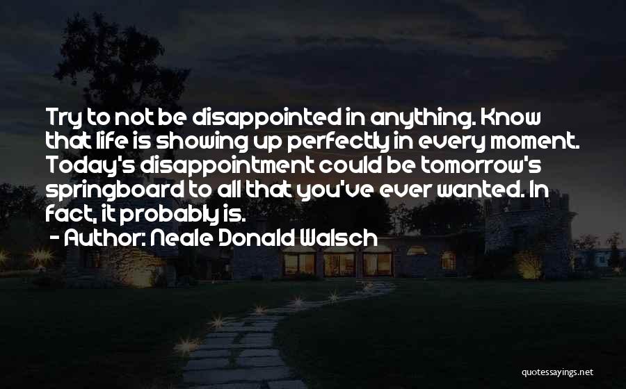 Springboard Quotes By Neale Donald Walsch