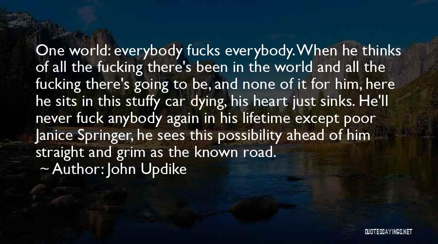 Springer Quotes By John Updike