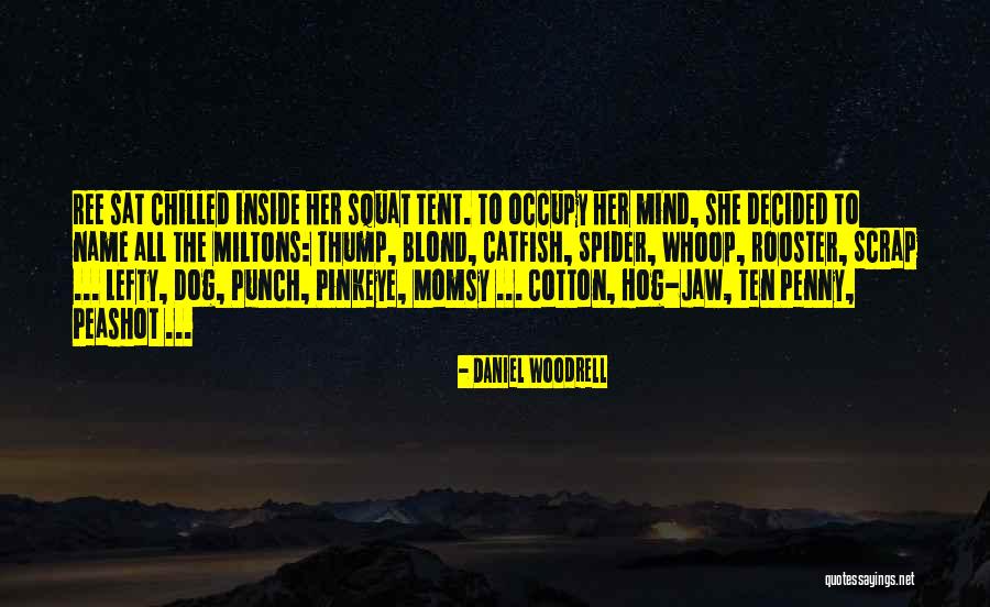 Springers Stone Harbor Quotes By Daniel Woodrell Springers Stone Harbor Quotes By Daniel Woodrell