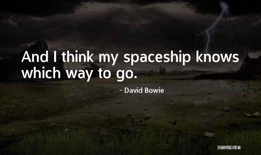 Springmeyer Name Quotes By David Bowie