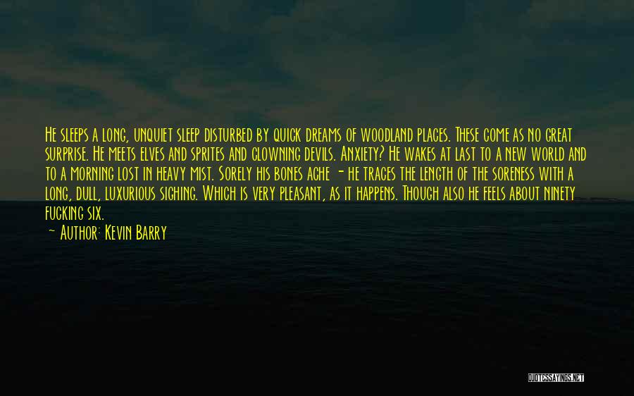 Sprites Quotes By Kevin Barry