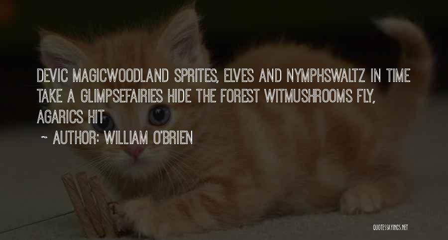 Sprites Quotes By William O'Brien