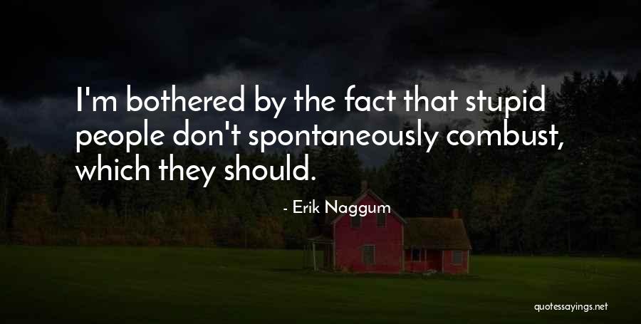 Spritle In The Big Quotes By Erik Naggum Spritle In The Big Quotes By Erik Naggum