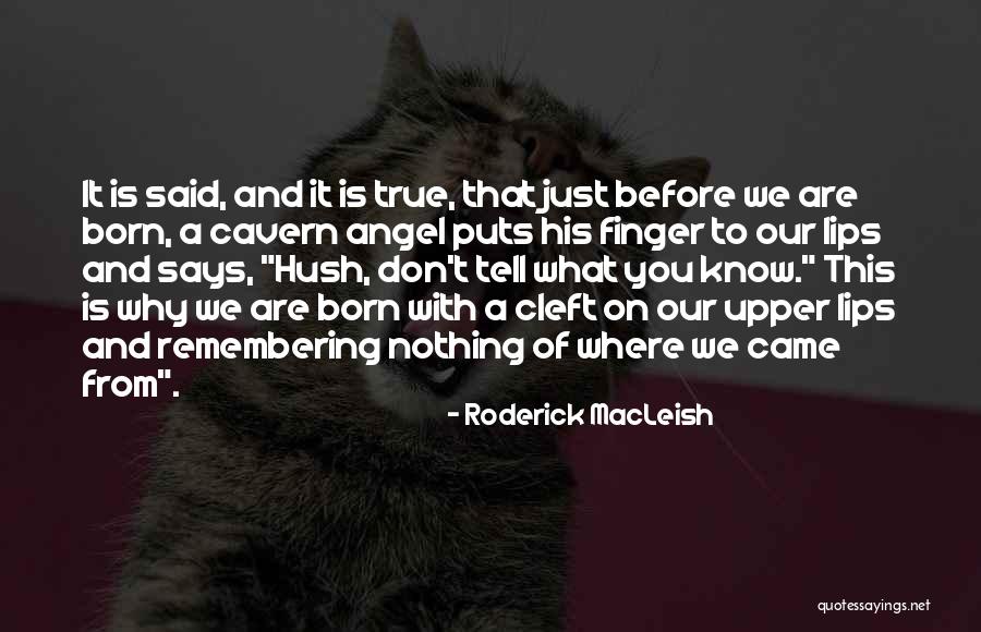 Sproston Green Quotes By Roderick MacLeish Sproston Green Quotes By Roderick MacLeish