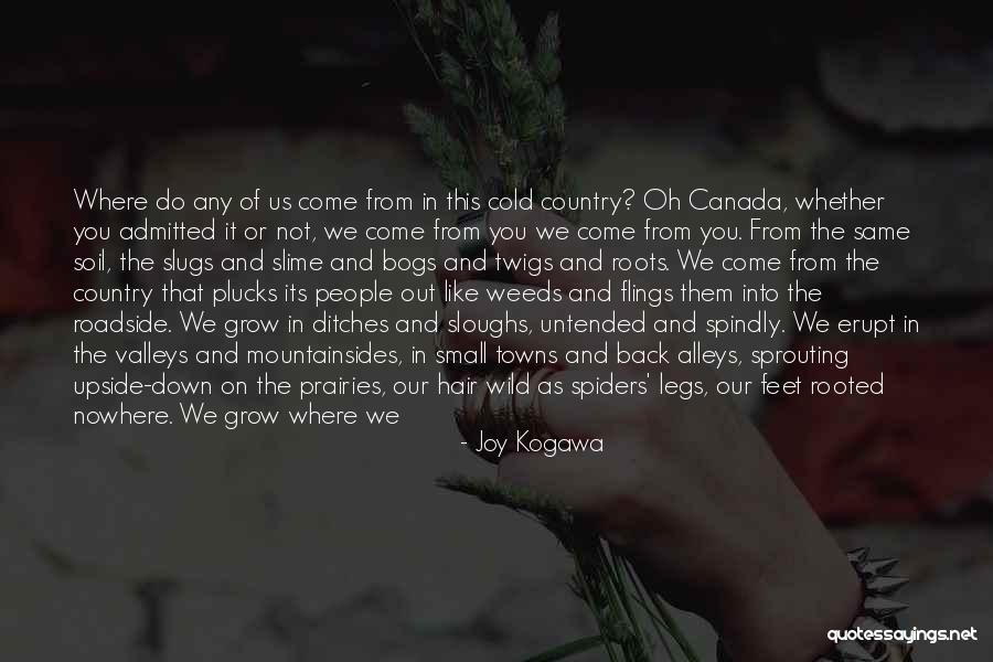 Sprouting Quotes By Joy Kogawa Sprouting Quotes By Joy Kogawa