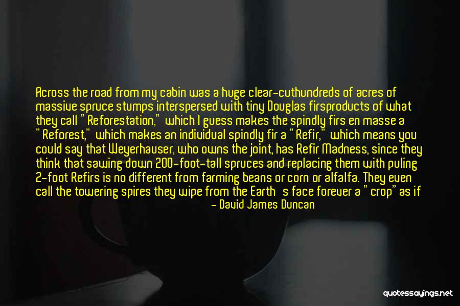 Spruce Up Quotes By David James Duncan Spruce Up Quotes By David James Duncan