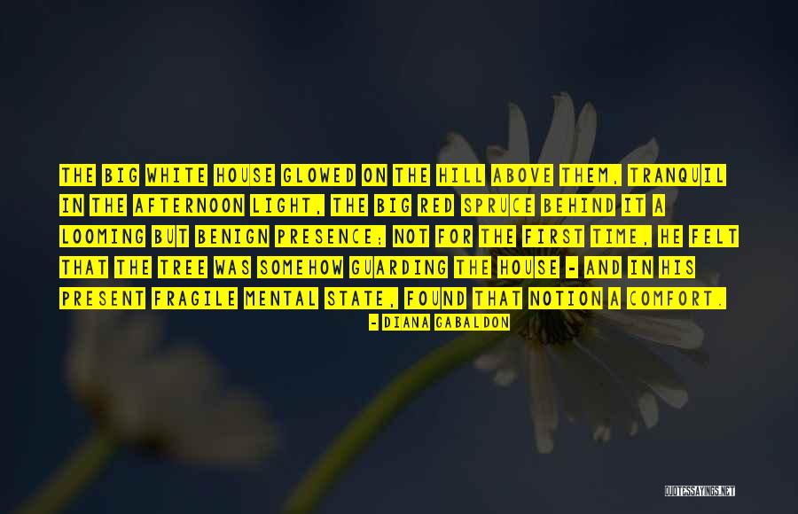 Spruce Up Quotes By Diana Gabaldon Spruce Up Quotes By Diana Gabaldon