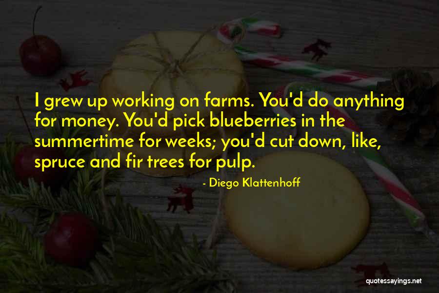 Spruce Up Quotes By Diego Klattenhoff Spruce Up Quotes By Diego Klattenhoff