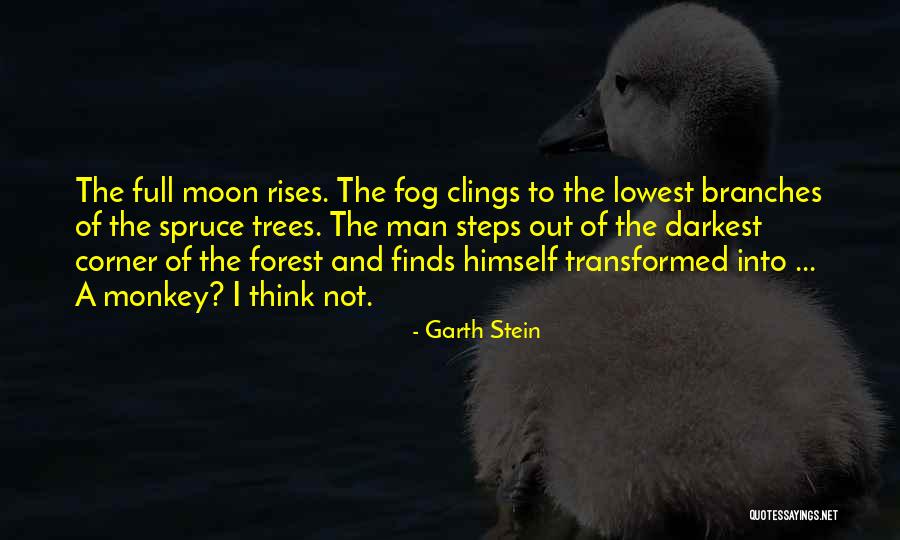 Spruce Up Quotes By Garth Stein Spruce Up Quotes By Garth Stein