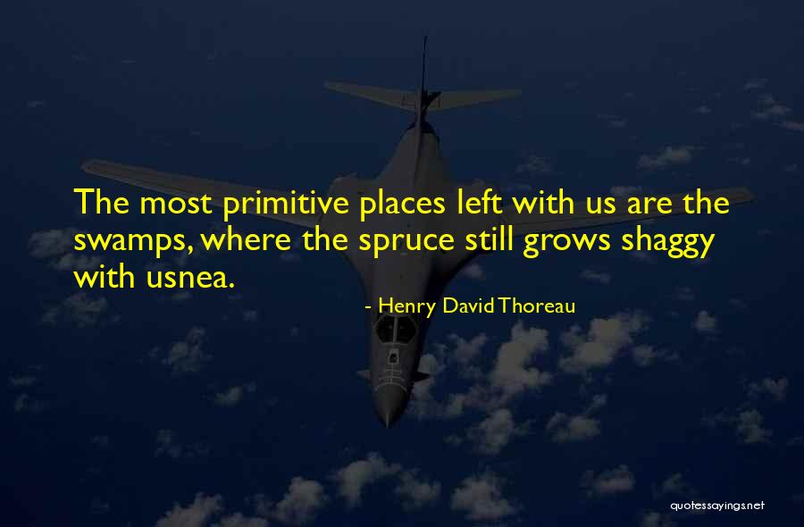 Spruce Up Quotes By Henry David Thoreau Spruce Up Quotes By Henry David Thoreau