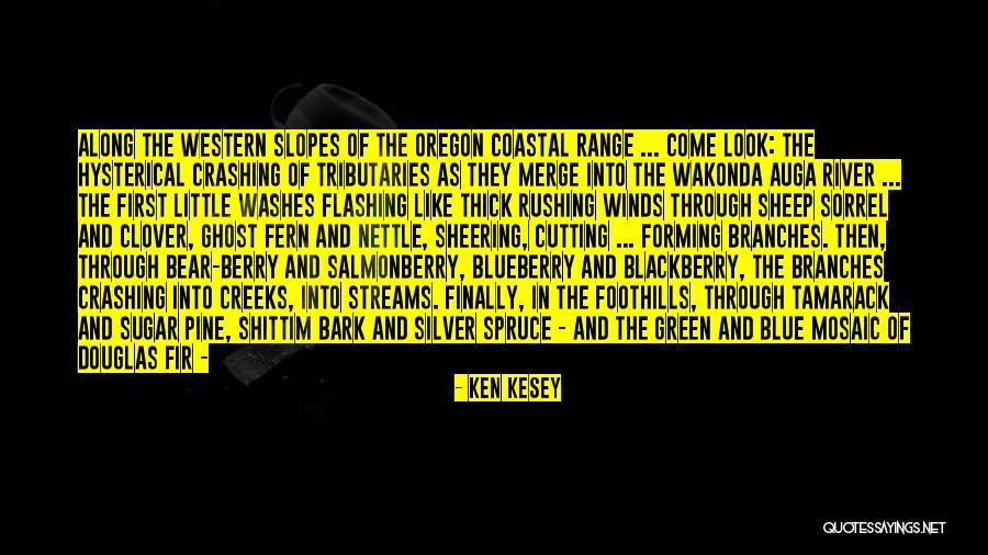 Spruce Up Quotes By Ken Kesey Spruce Up Quotes By Ken Kesey
