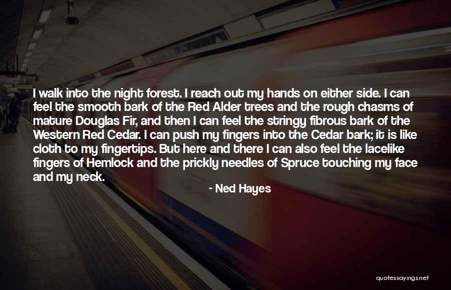 Spruce Up Quotes By Ned Hayes Spruce Up Quotes By Ned Hayes