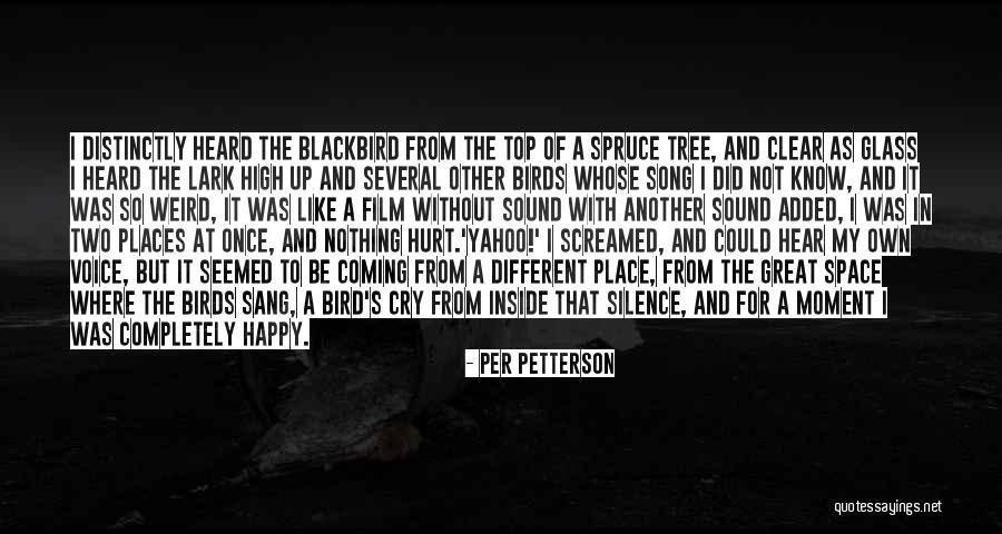 Spruce Up Quotes By Per Petterson Spruce Up Quotes By Per Petterson