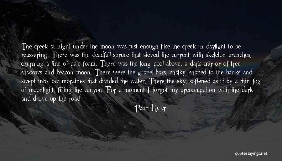 Spruce Up Quotes By Peter Heller Spruce Up Quotes By Peter Heller