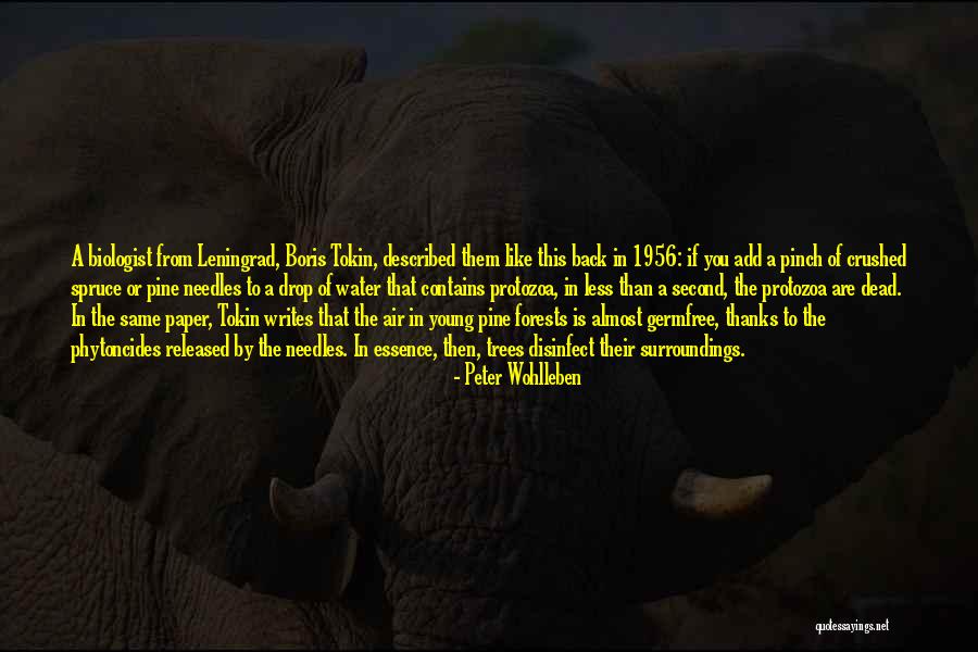 Spruce Up Quotes By Peter Wohlleben Spruce Up Quotes By Peter Wohlleben