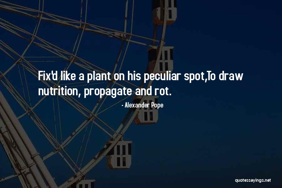 Spruceland In Prince Quotes By Alexander Pope Spruceland In Prince Quotes By Alexander Pope