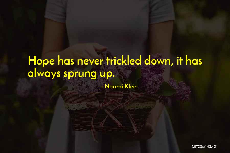 Sprung Up Quotes By Naomi Klein Sprung Up Quotes By Naomi Klein