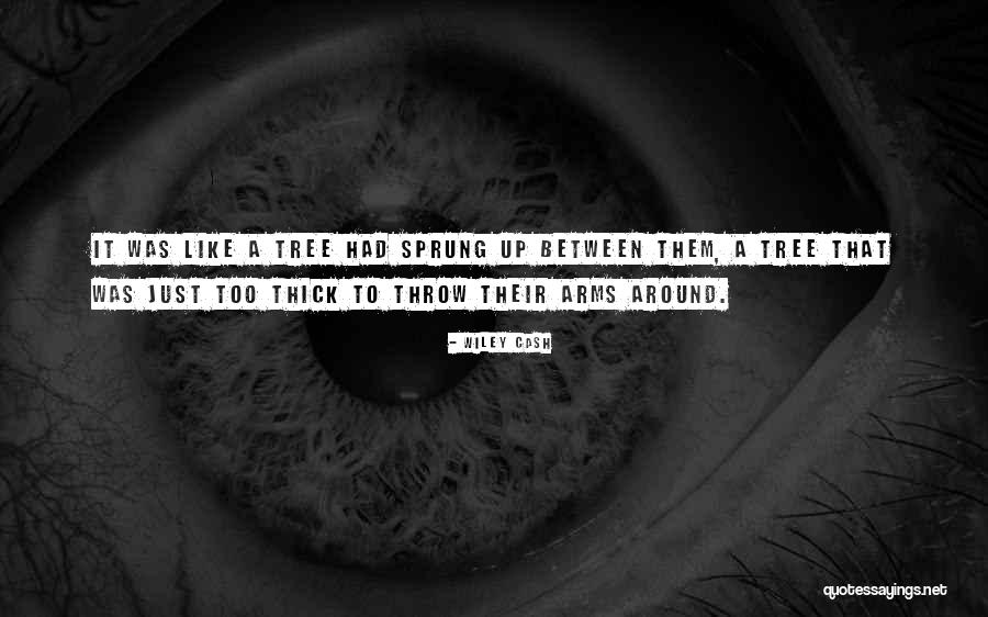 Sprung Up Quotes By Wiley Cash Sprung Up Quotes By Wiley Cash