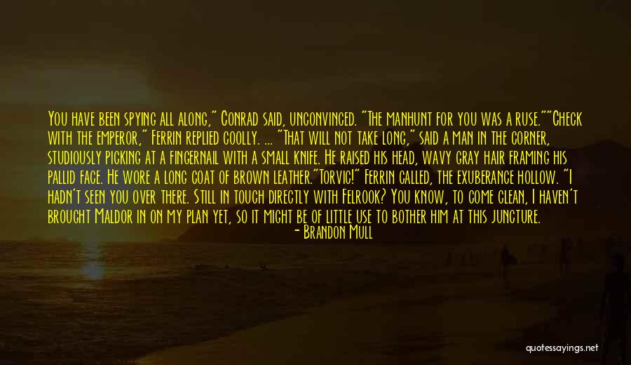 Spying Others Quotes By Brandon Mull