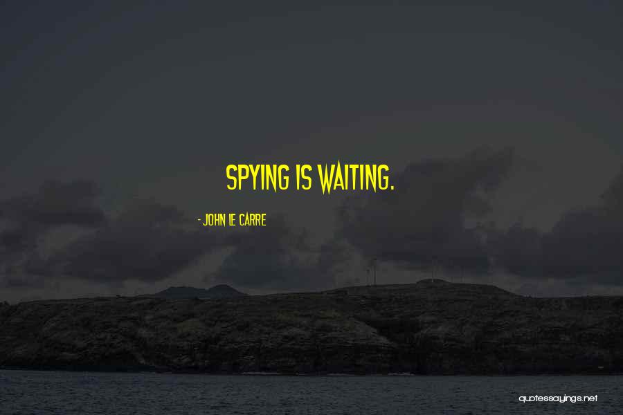 Spying Others Quotes By John Le Carre