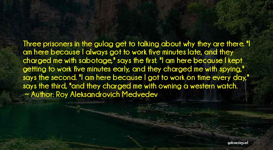 Spying Quotes By Roy Aleksandrovich Medvedev