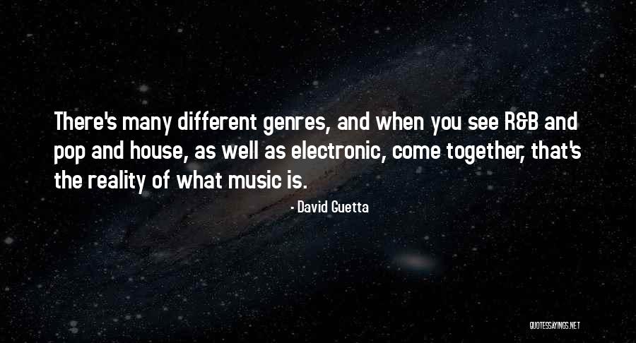 Spyway Inn Quotes By David Guetta Spyway Inn Quotes By David Guetta