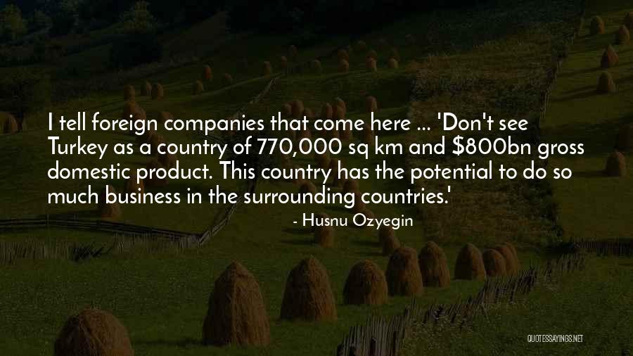 Sq Quotes By Husnu Ozyegin Sq Quotes By Husnu Ozyegin