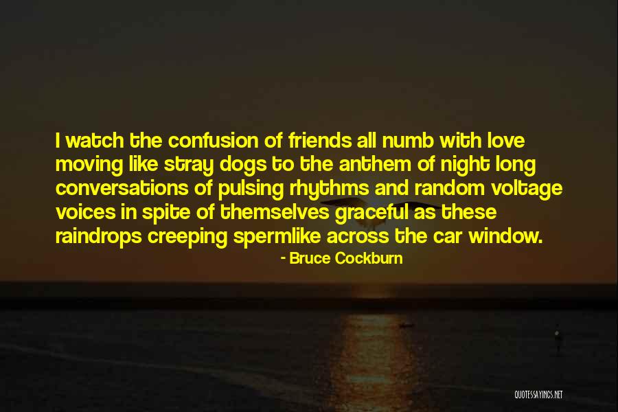 Sql Declare Variable With Quotes By Bruce Cockburn Sql Declare Variable With Quotes By Bruce Cockburn