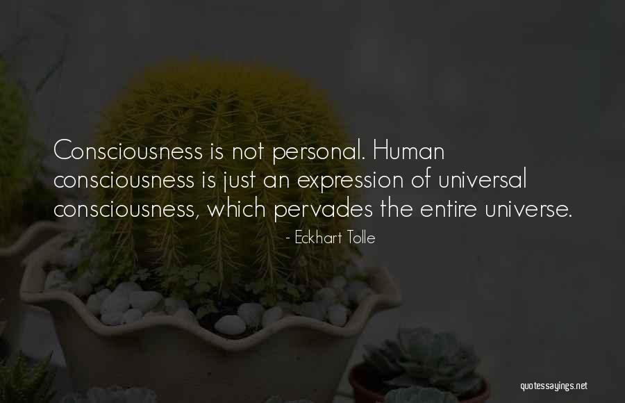 Sql String Quotes By Eckhart Tolle Sql String Quotes By Eckhart Tolle