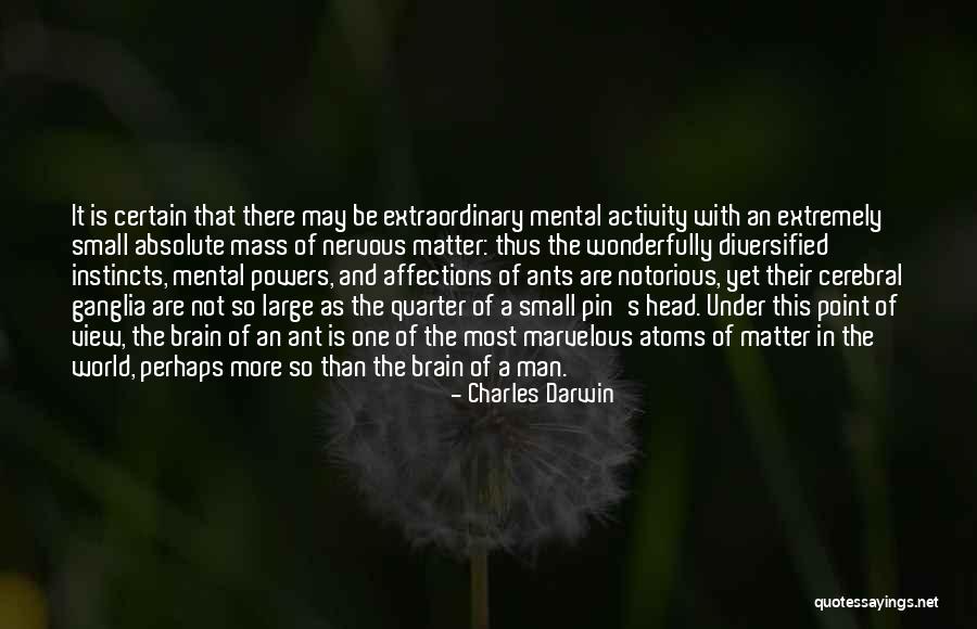 Sqlcmd Output Double Quotes By Charles Darwin Sqlcmd Output Double Quotes By Charles Darwin