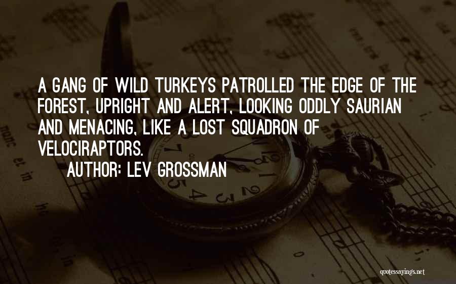 Squadron Quotes By Lev Grossman