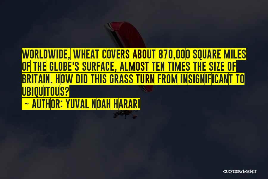 Square Quotes By Yuval Noah Harari
