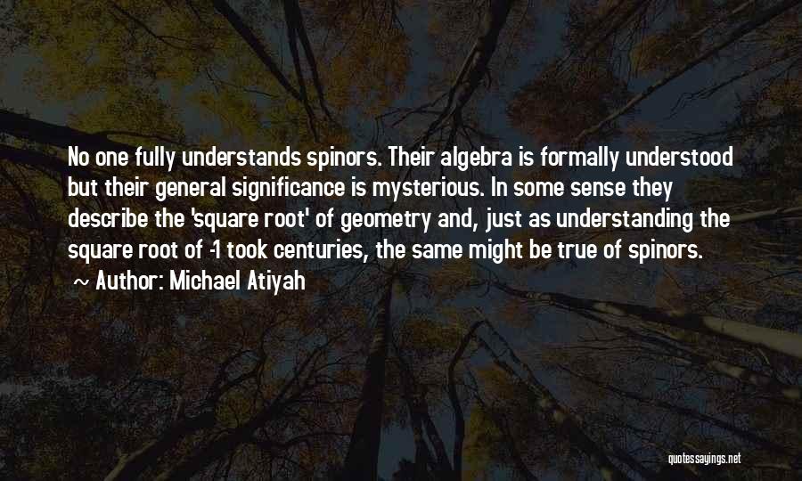 Square Root Quotes By Michael Atiyah