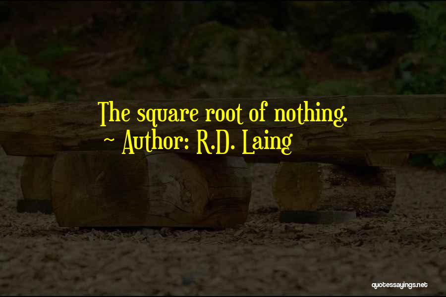 Square Root Quotes By R.D. Laing