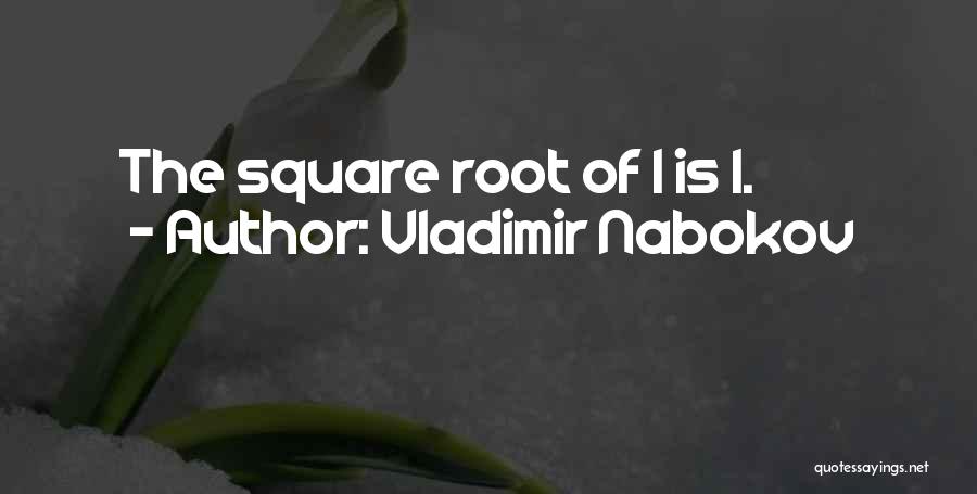 Square Root Quotes By Vladimir Nabokov