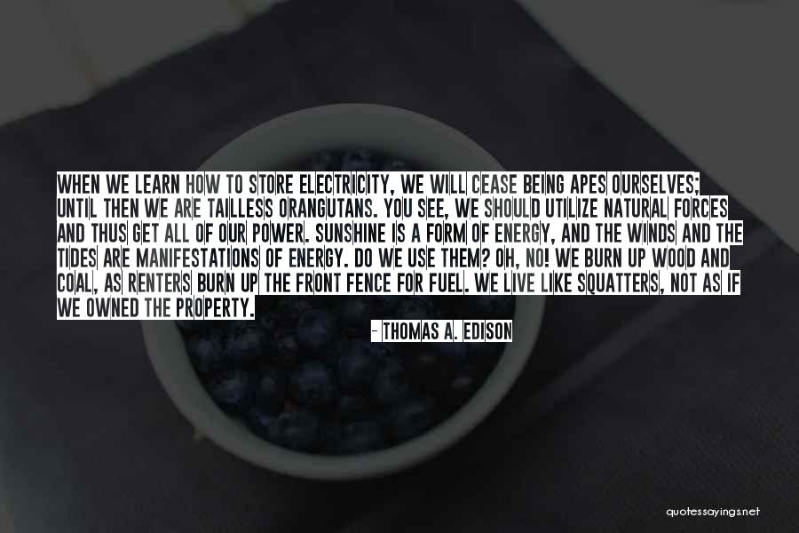 Squatters Quotes By Thomas A. Edison