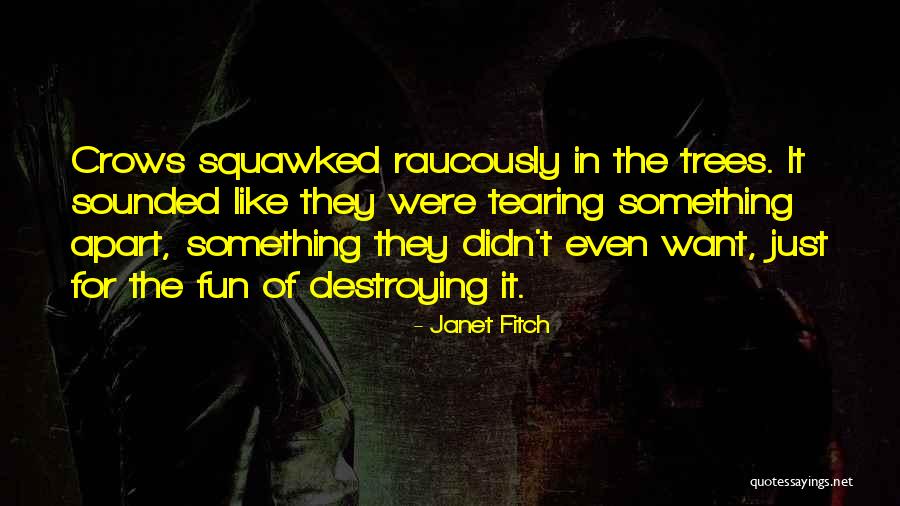 Squawked Quotes By Janet Fitch Squawked Quotes By Janet Fitch