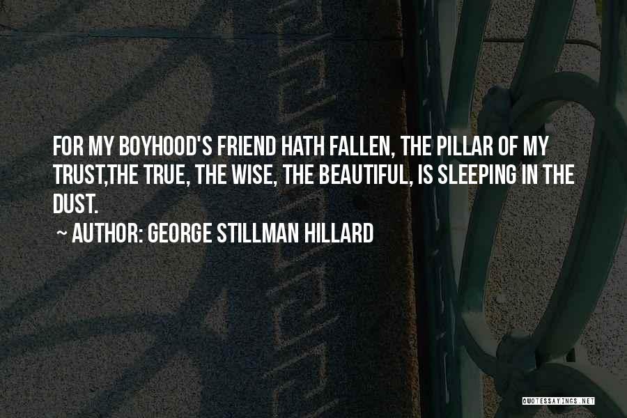 Squeaked Out A Win Quotes By George Stillman Hillard