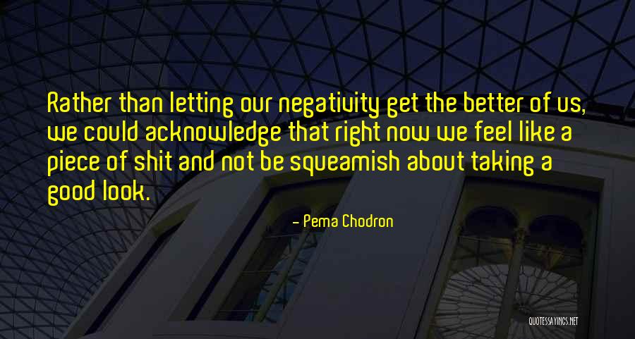 Squeamish Quotes By Pema Chodron Squeamish Quotes By Pema Chodron