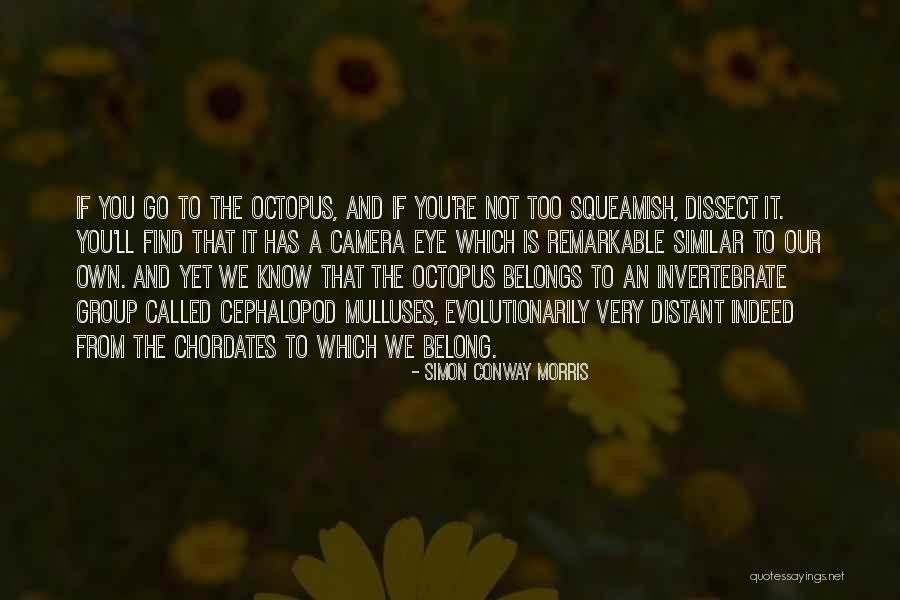 Squeamish Quotes By Simon Conway Morris Squeamish Quotes By Simon Conway Morris