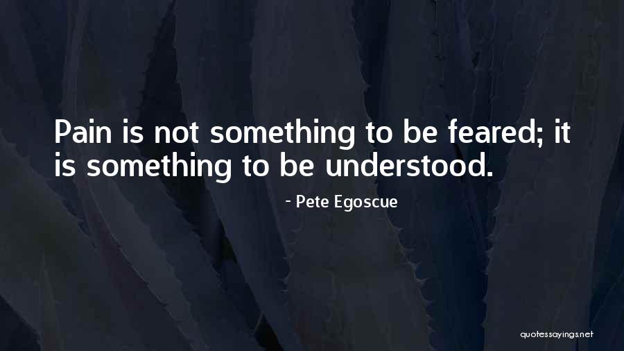 Squeezebox Bandits Quotes By Pete Egoscue