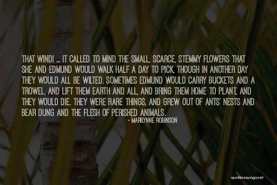 Squeezes Toys Quotes By Marilynne Robinson Squeezes Toys Quotes By Marilynne Robinson