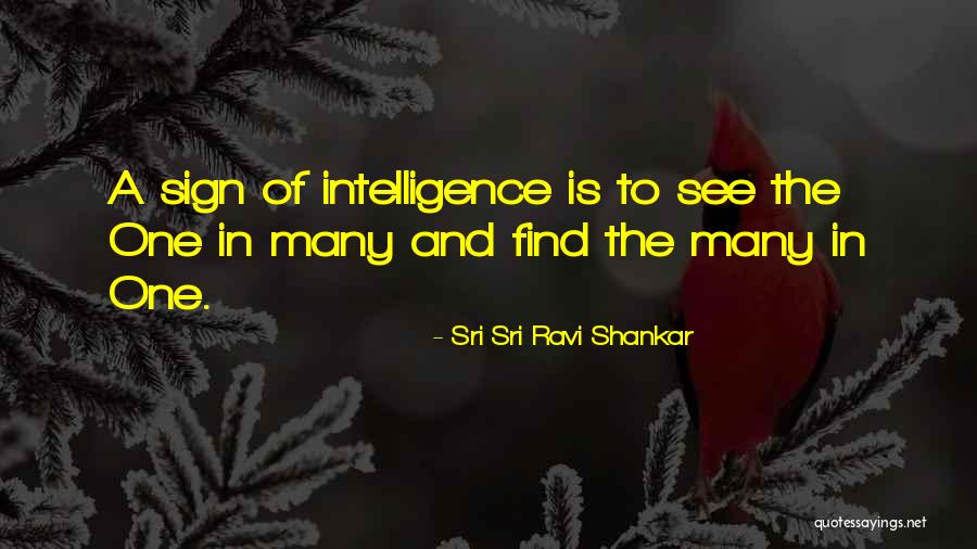 Squibbles Aphmau Quotes By Sri Sri Ravi Shankar Squibbles Aphmau Quotes By Sri Sri Ravi Shankar